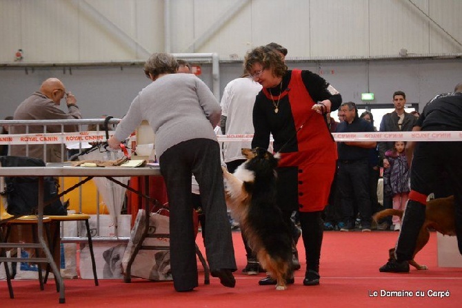 de la Chambrette Agenaise - Exposition canine internationale de Toulouse du dimanche 22 mars