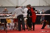  - Exposition canine internationale de Toulouse du dimanche 22 mars